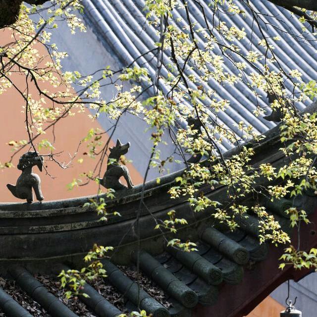 艺云荟坊
