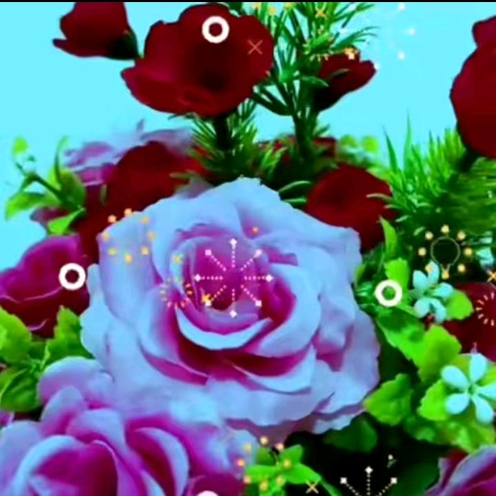 🌷伤🌾心🍁的🌸我💐