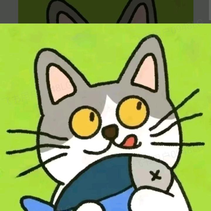 亮哥好物
