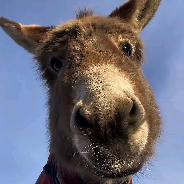 晚上十点半睡觉