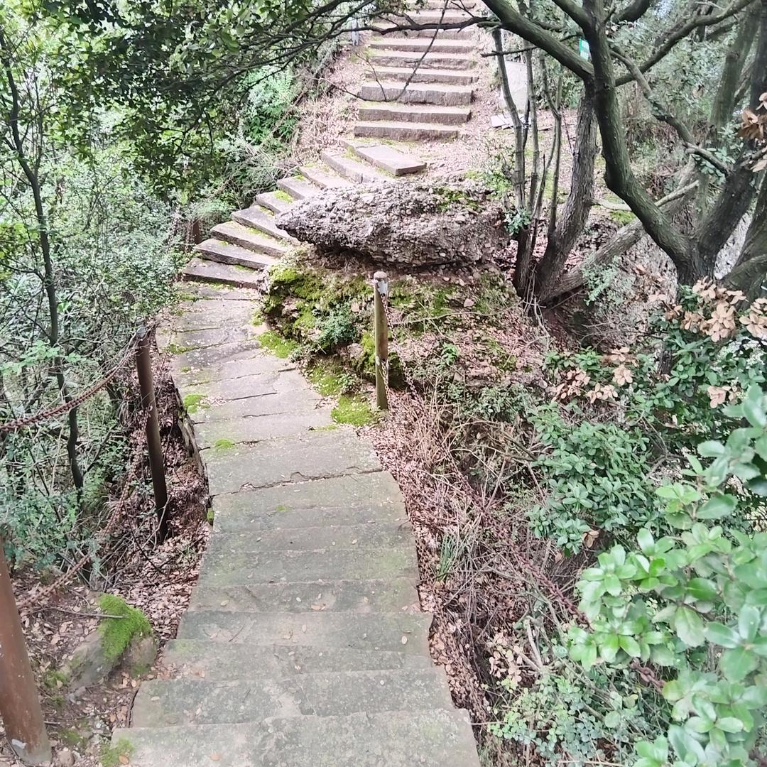 🌸火火🌸