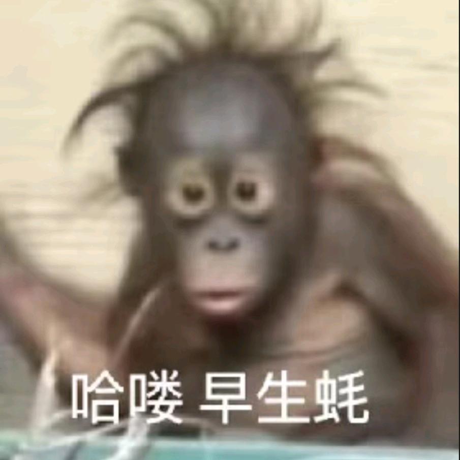 如果天晴