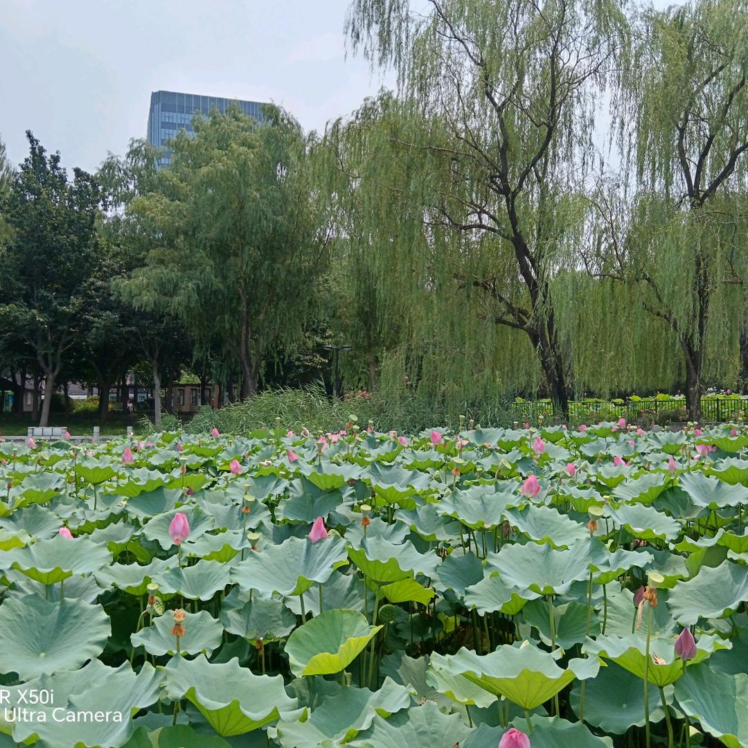 阳光