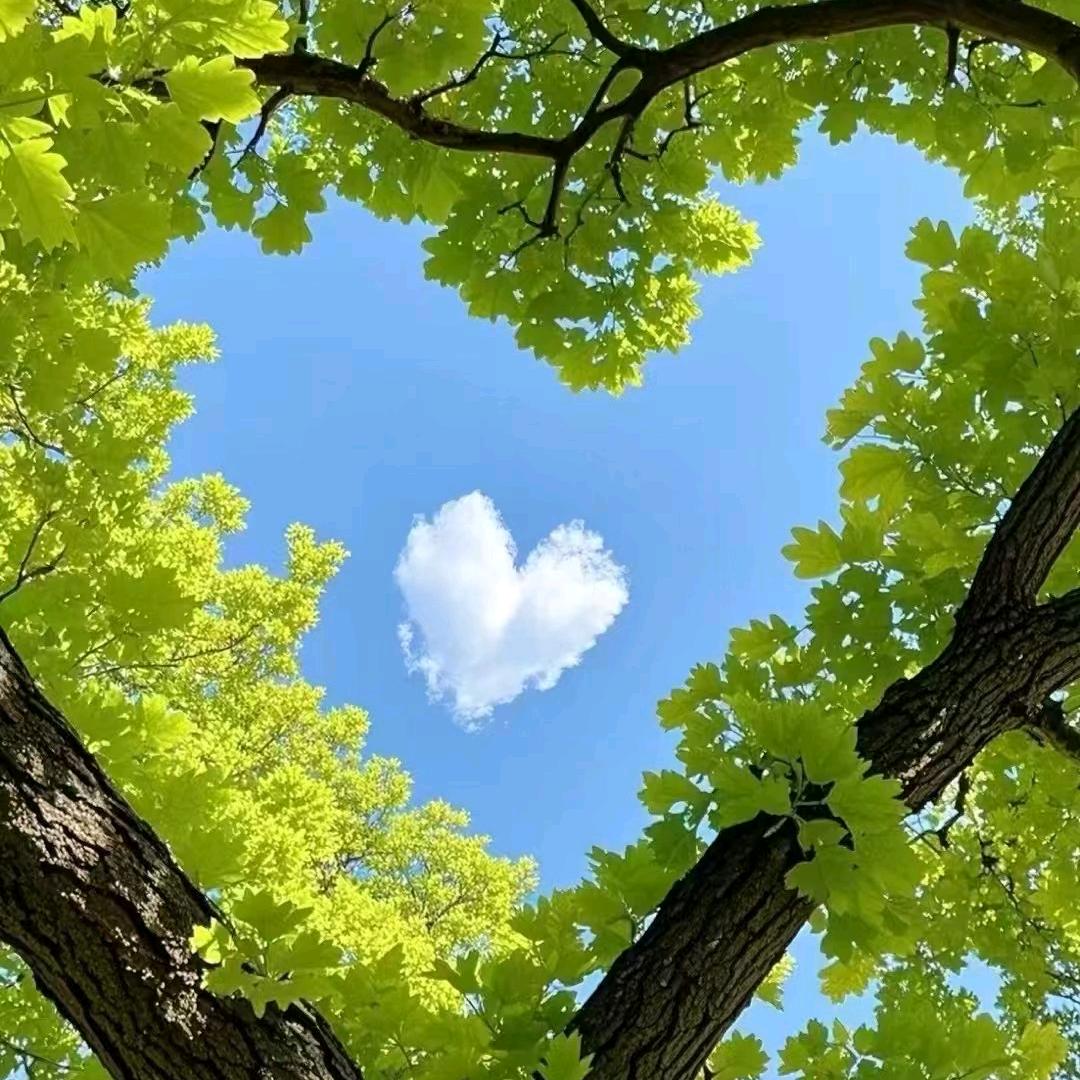 一生有你🌹🌹🌹