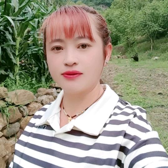 人生难免有挫折