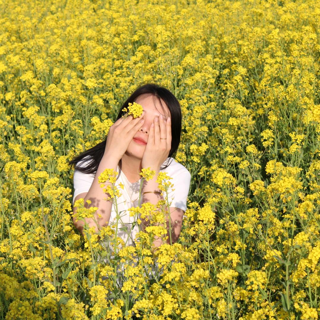 觅暖