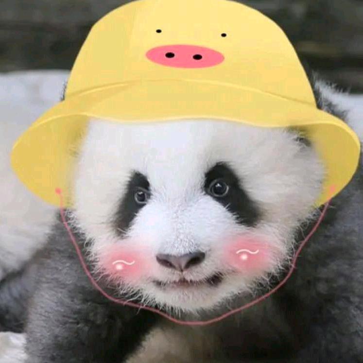熊猫追剧