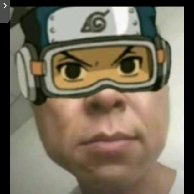 只惜枯木不逢春