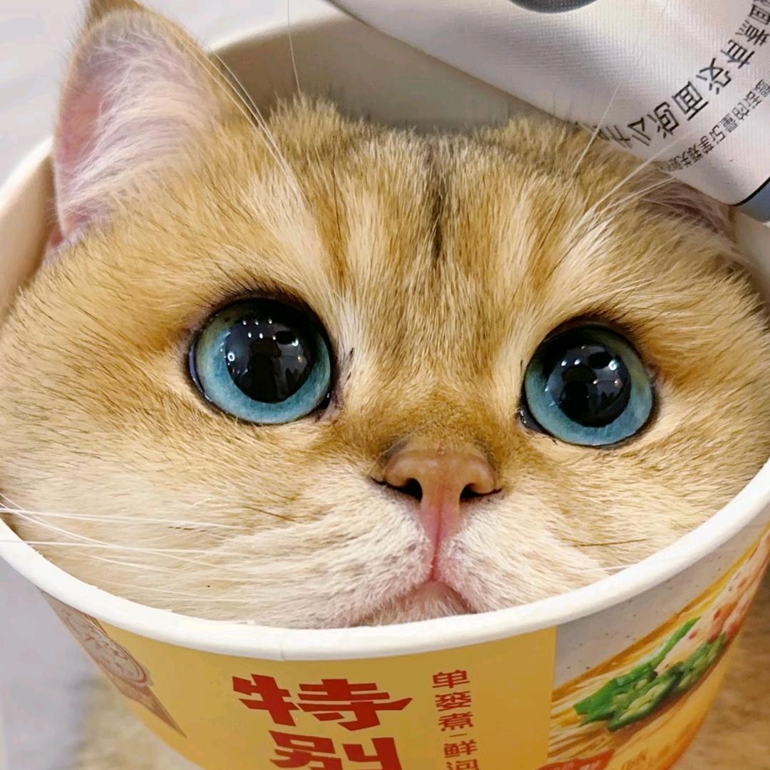 巧克力脆皮手枪腿