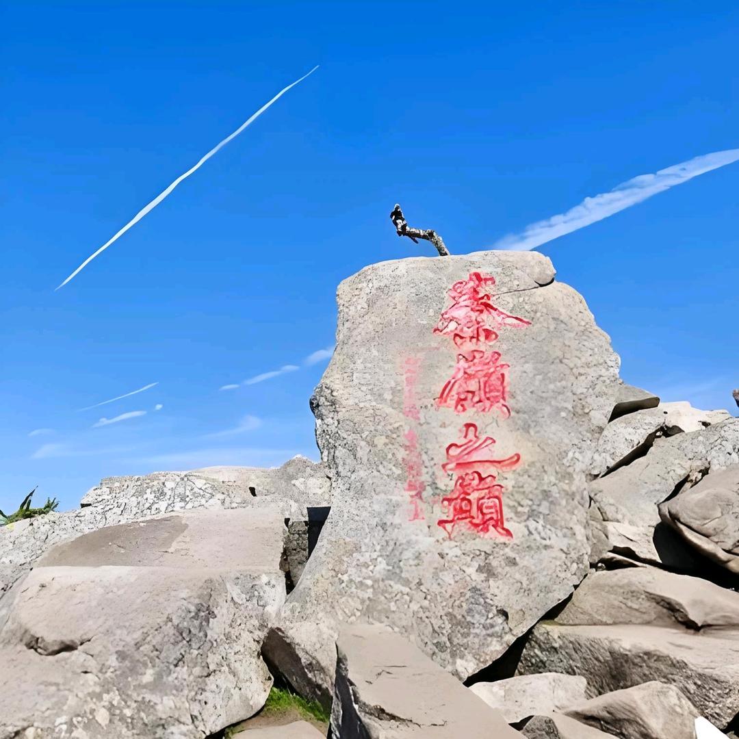 朱雀门票小助手