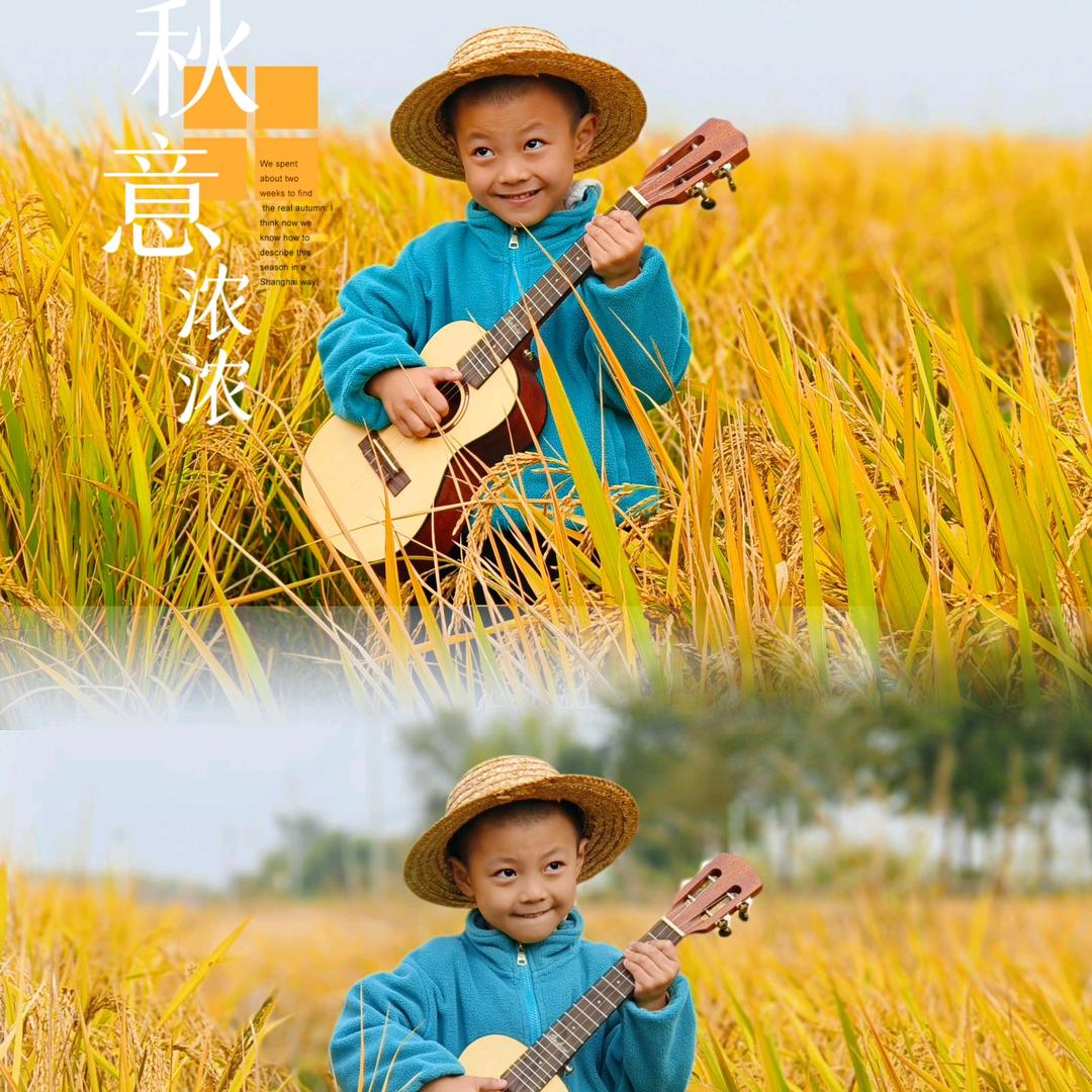 ʚ华ঐ才✨