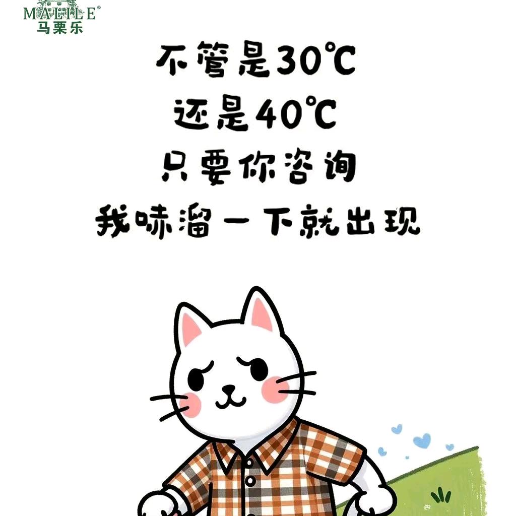 马栗乐火山广场💃凤