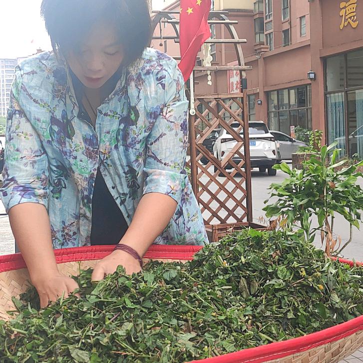 请叫我蒙姐～农茶人