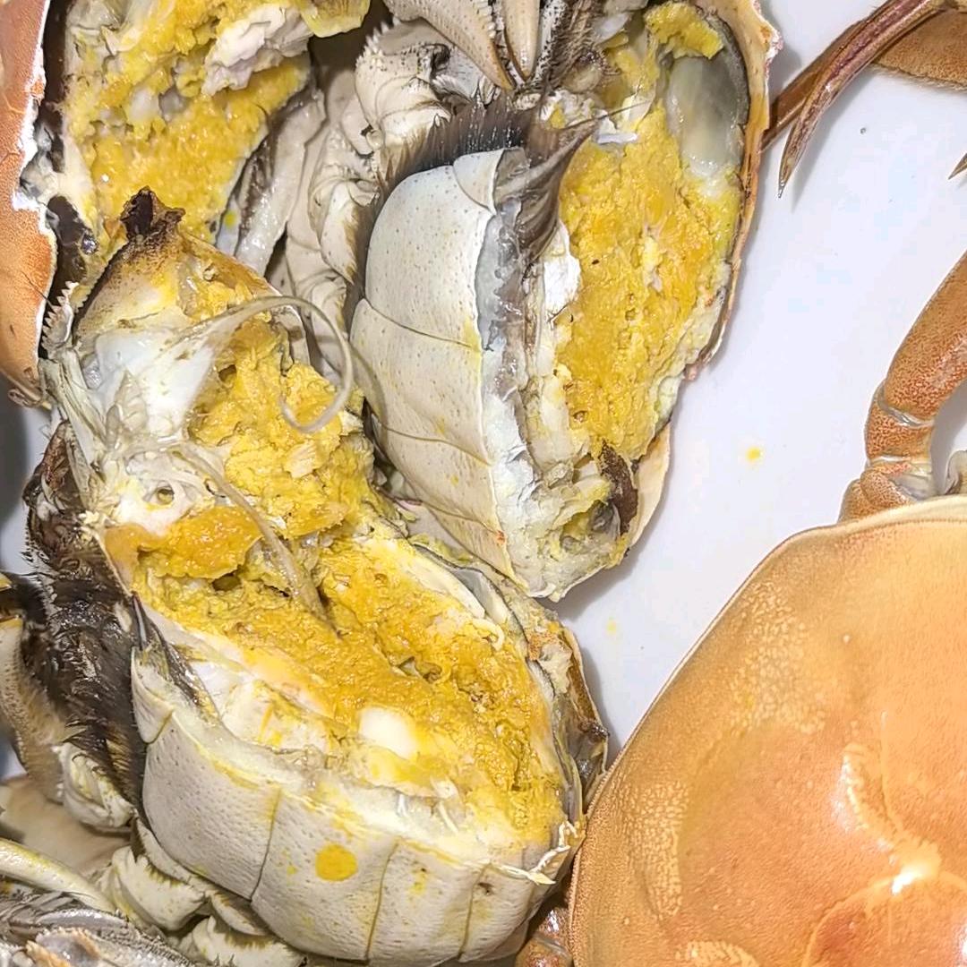 车窗外大雪飘飘