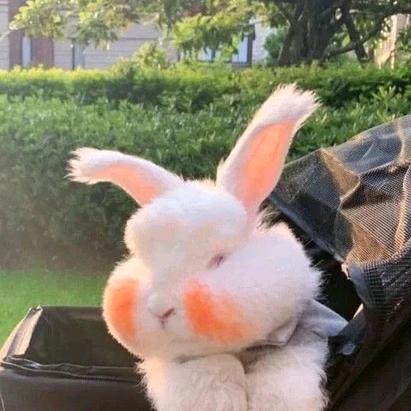 超级喜欢吃泡面