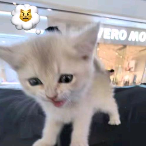 小妍