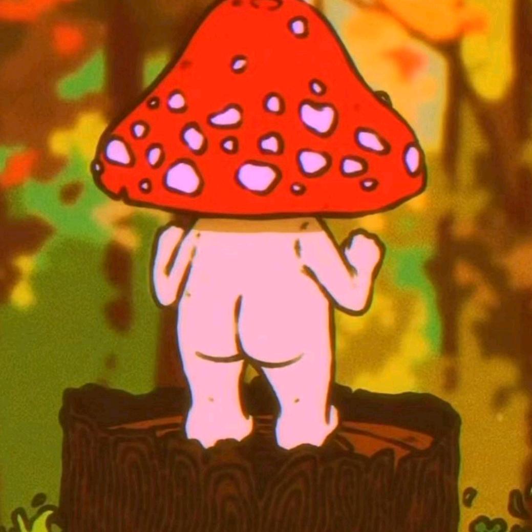 毛毛毛绒中古玩具