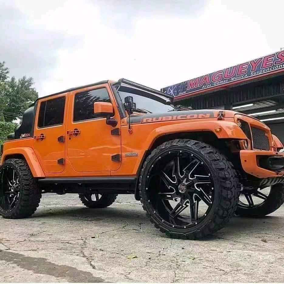 我见众生皆草木🫡