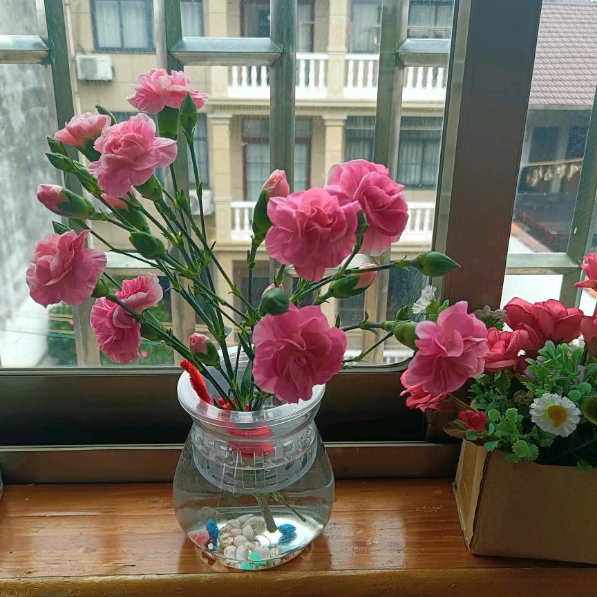 琴