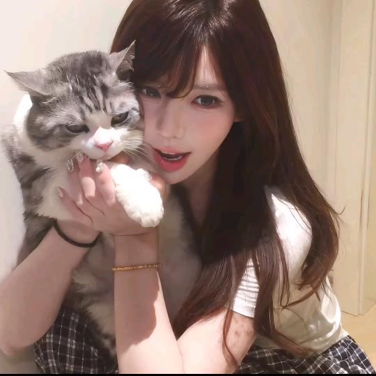 文love