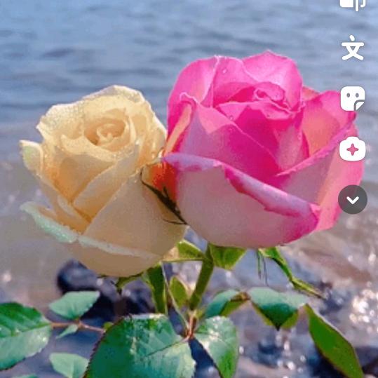 开🎄心🌹每一🌼天💐