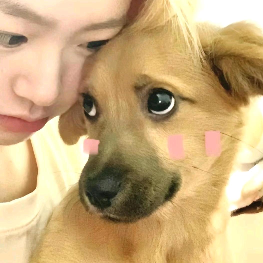 今天不要叹气嘛