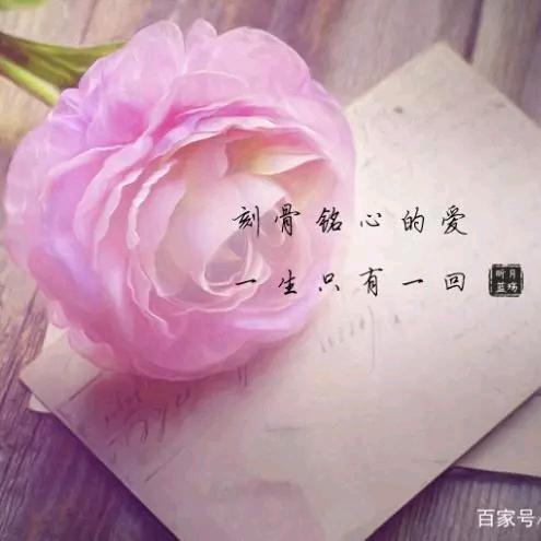 有你可好66