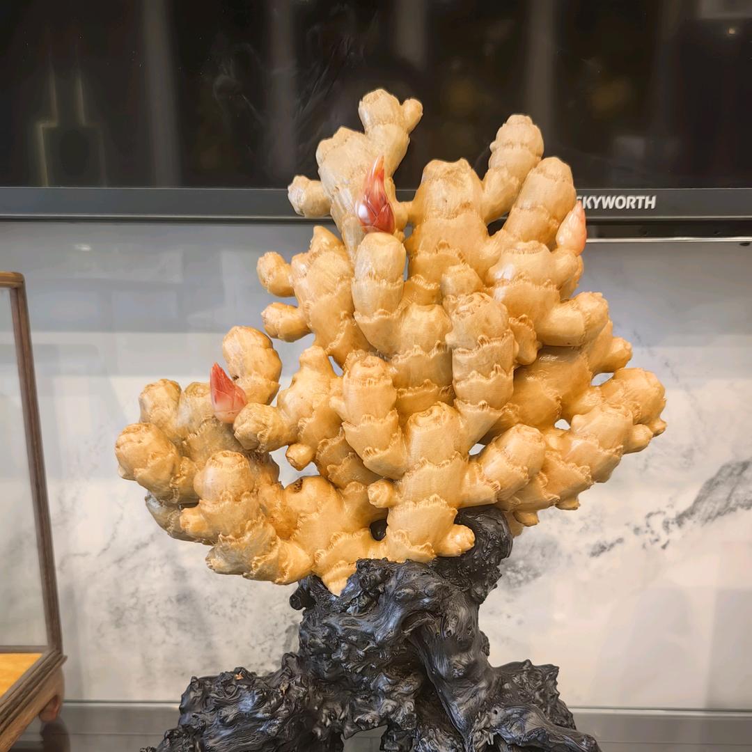 🌻业精于勤👣