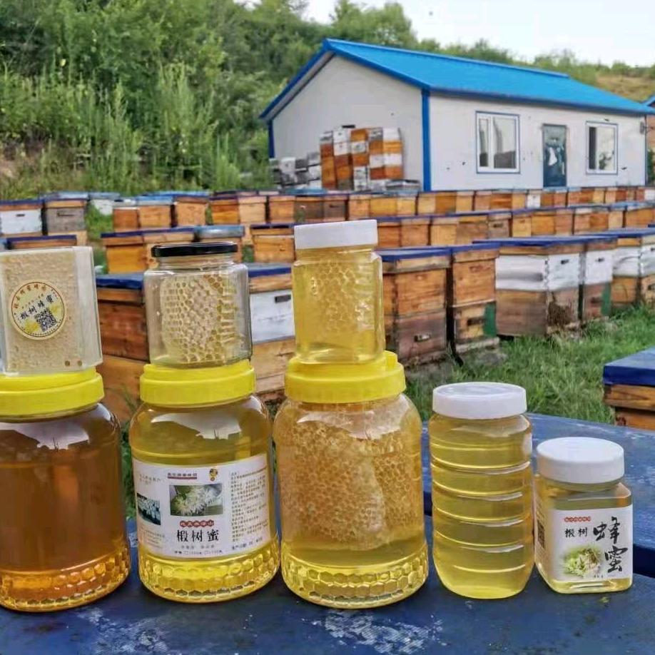 蜜蜂影子（金环一号种蜂王场）