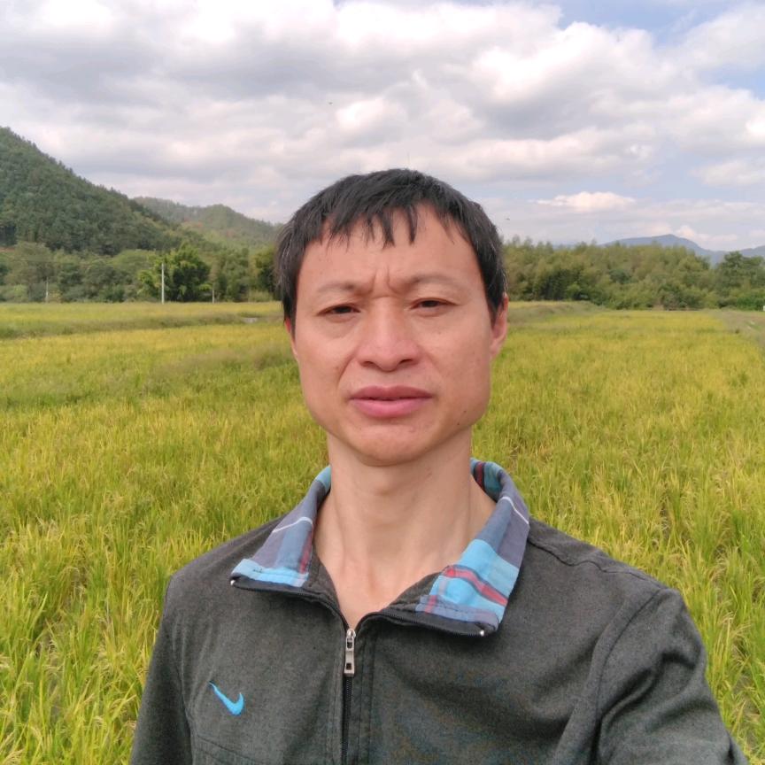 华仔呀