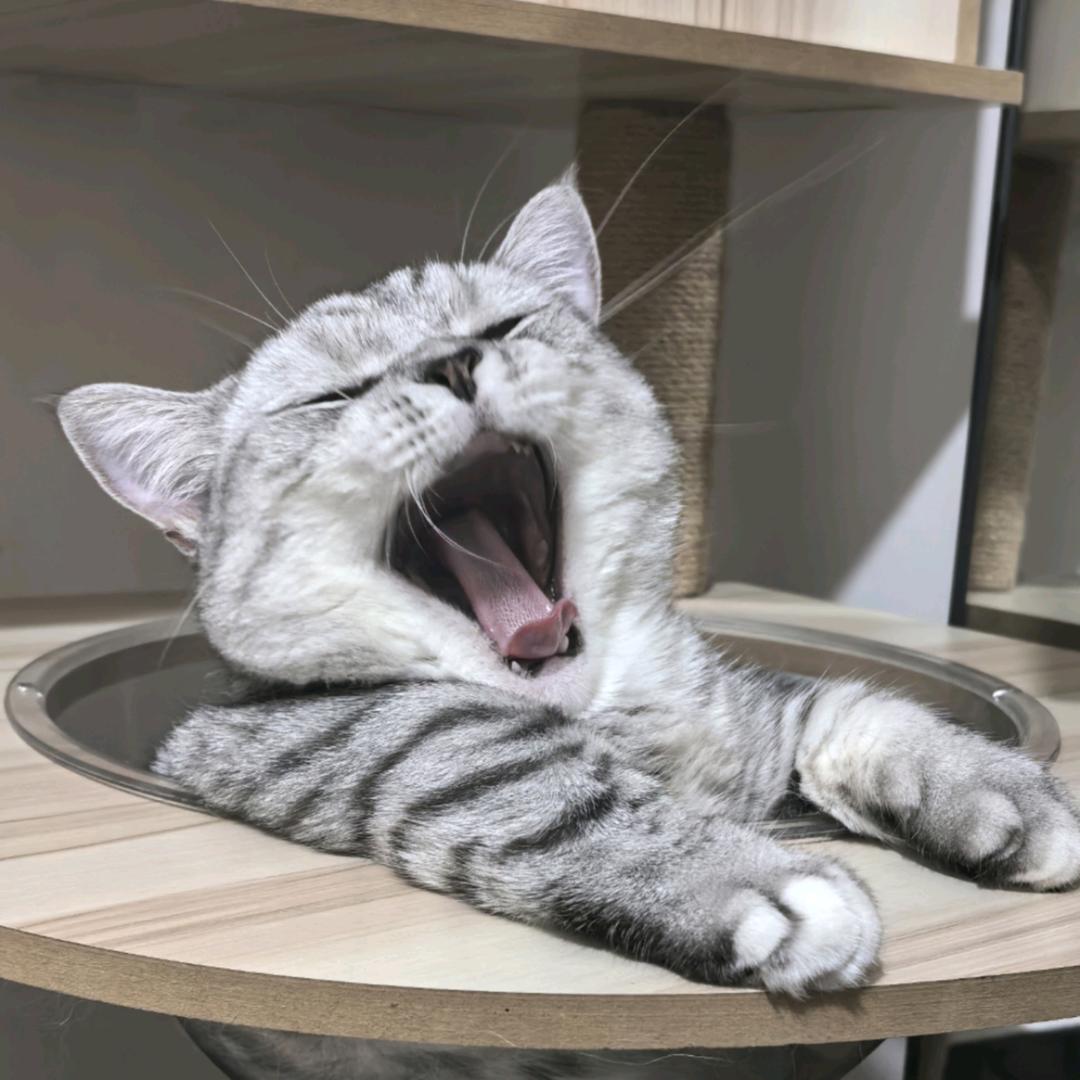 梦一场@