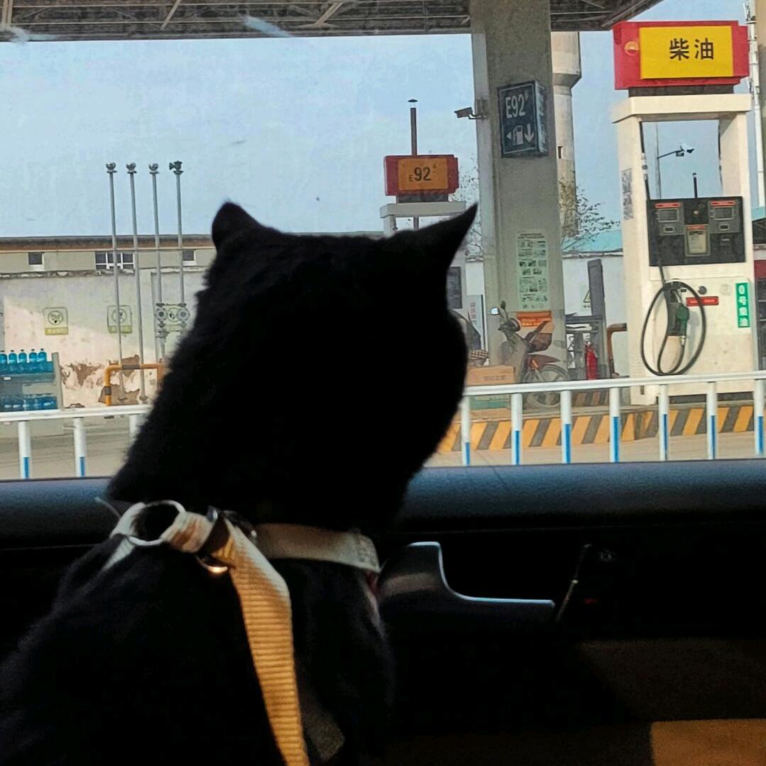 三水一湫