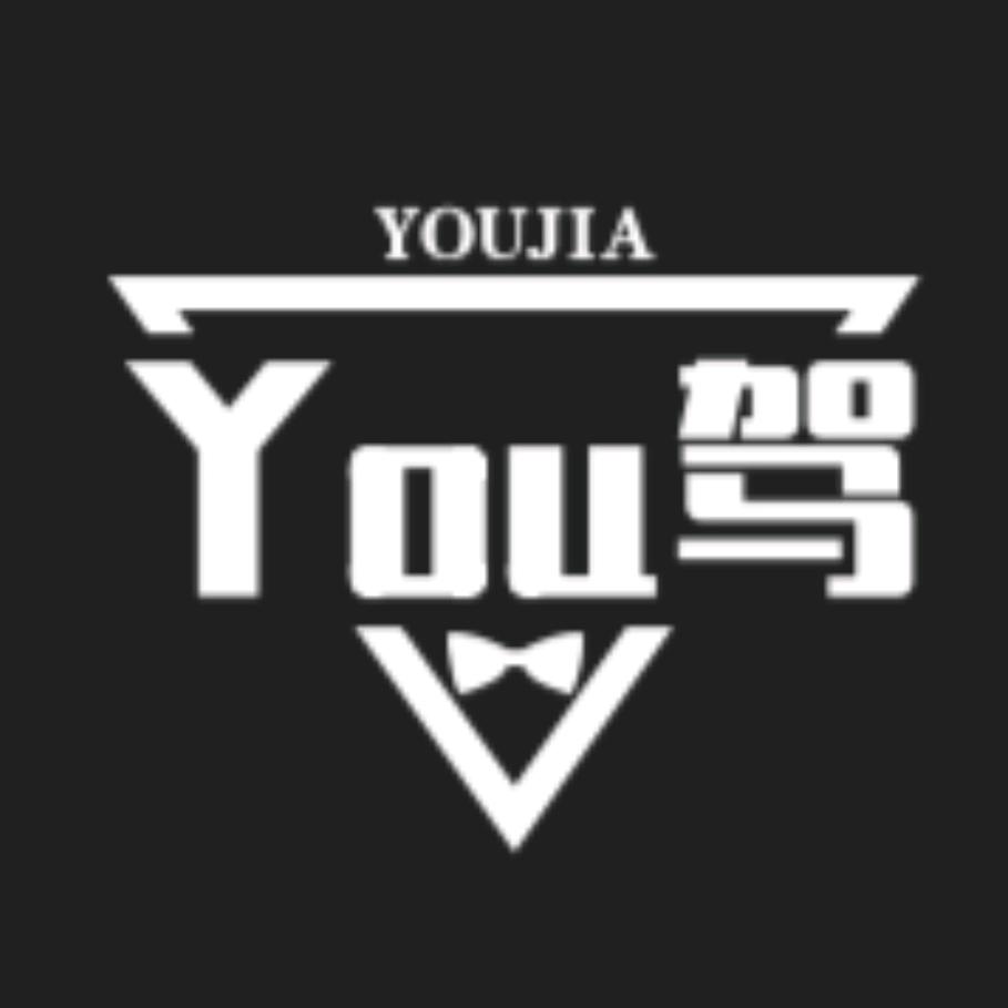 You驾智行