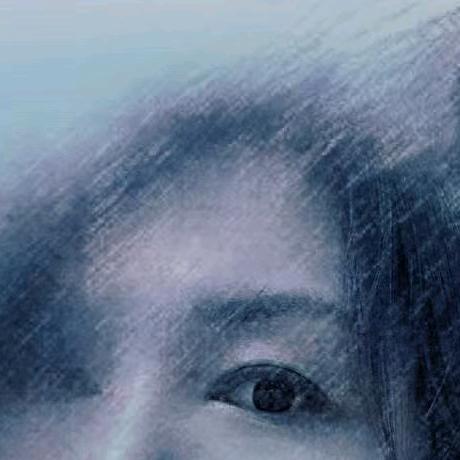 山西张小凤（鑫磊空间 )