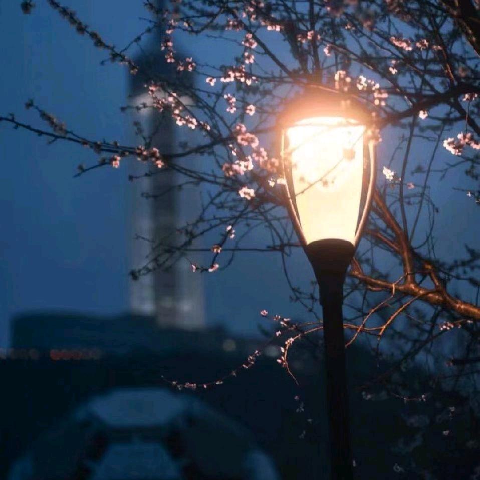 常州市奥斯利Volttalent 高奥