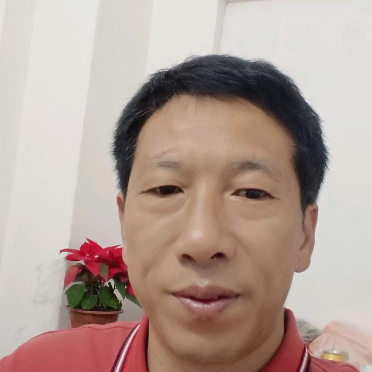 周哥创业