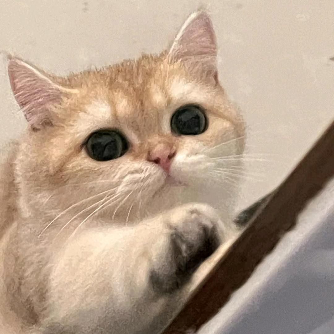 努力努力再努力V.