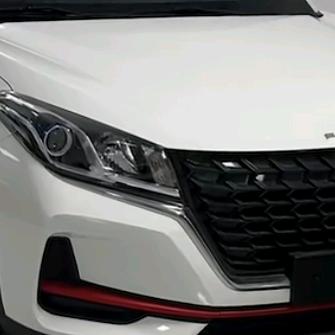 长风阑珊意逍遥