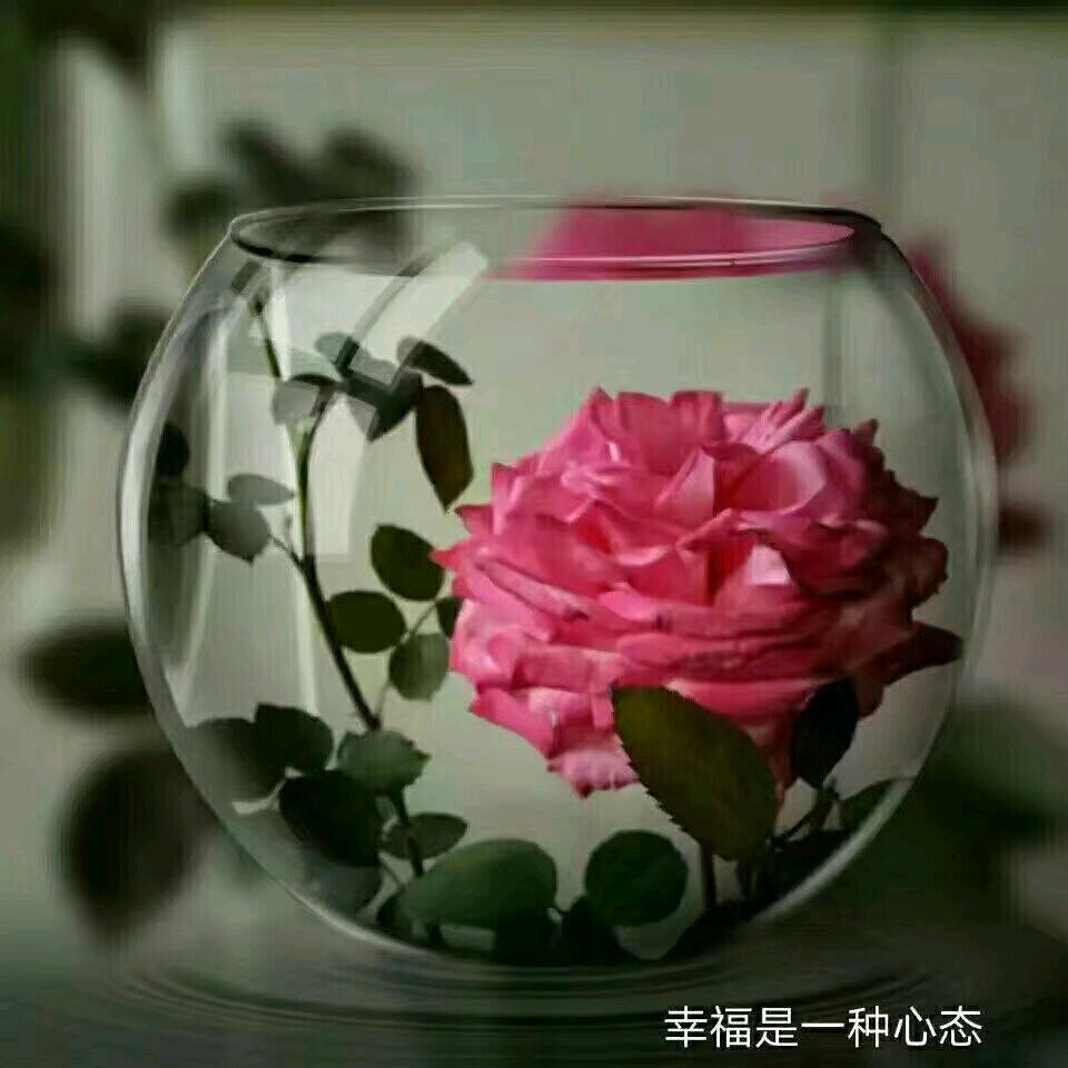 人生若只如初见