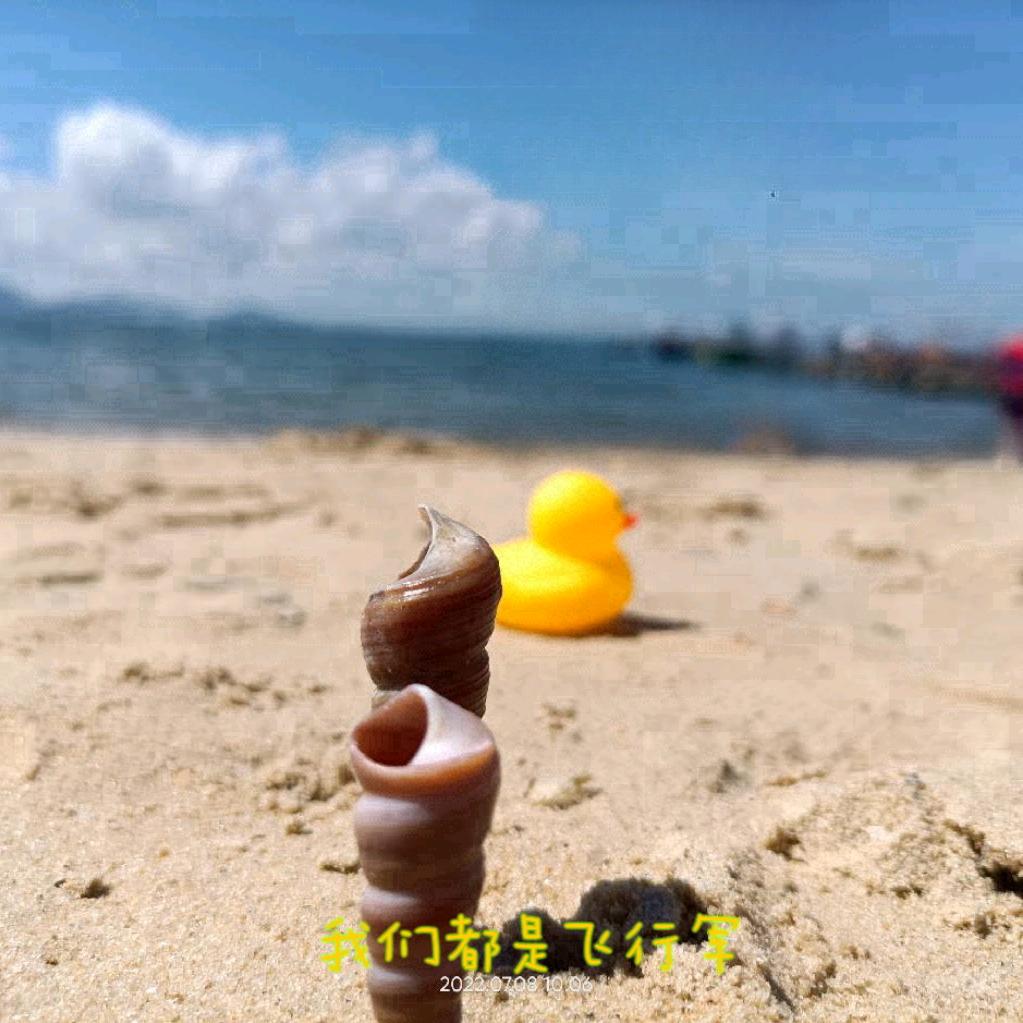 奔驰的大飝