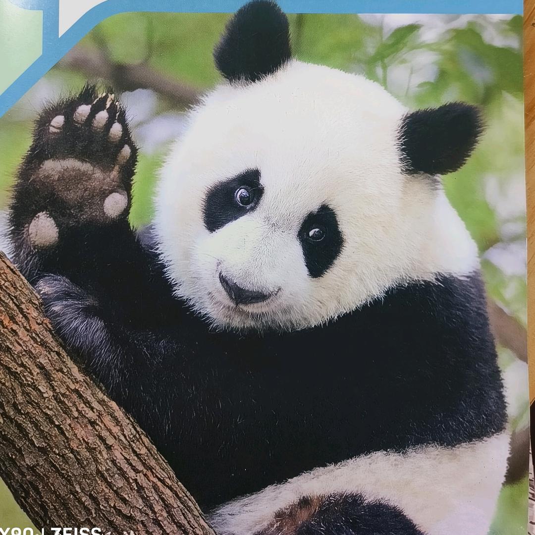 @来一碗老于