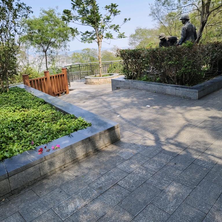 陈芸