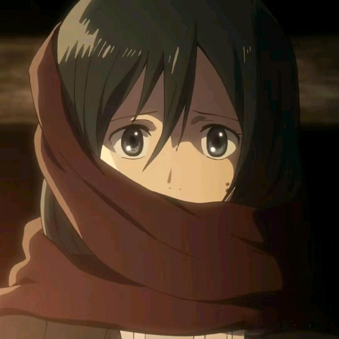 mikasa