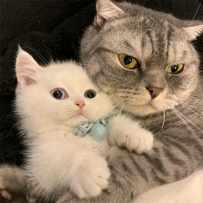 🧸 ᕱ⑅ᕱ     （晋级赛）