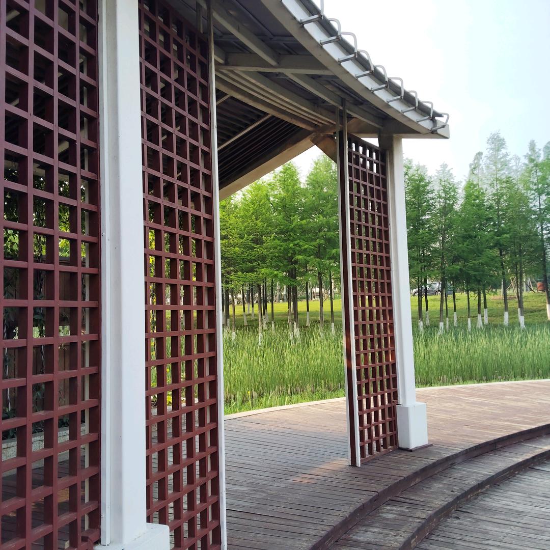 ssheyingwuji