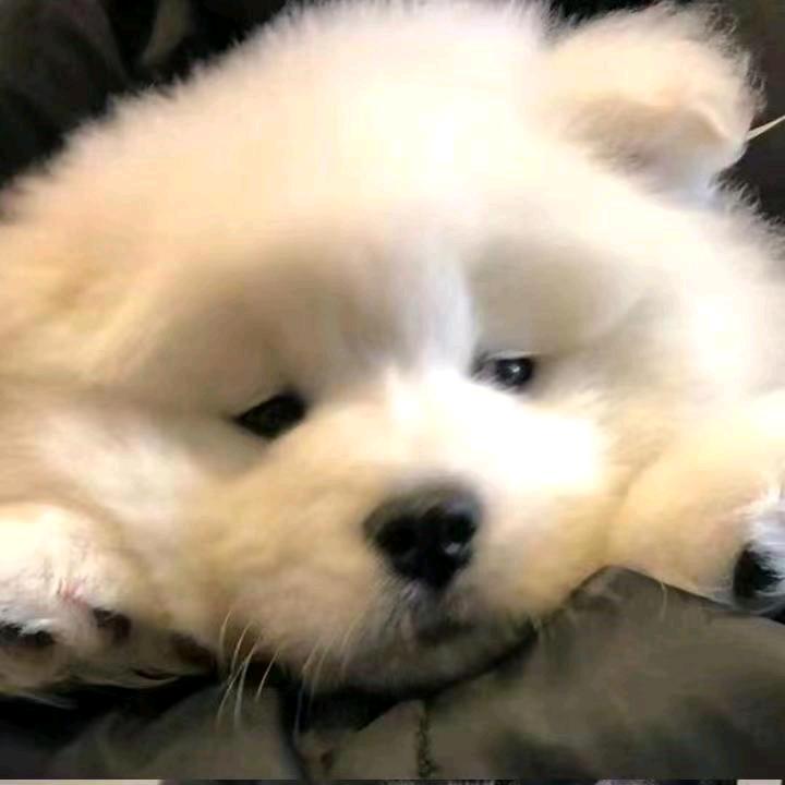 潮汐力＿十二