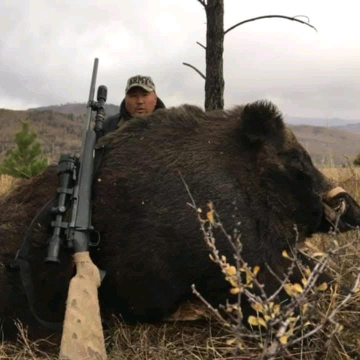 蒙古合法打猎 旅游