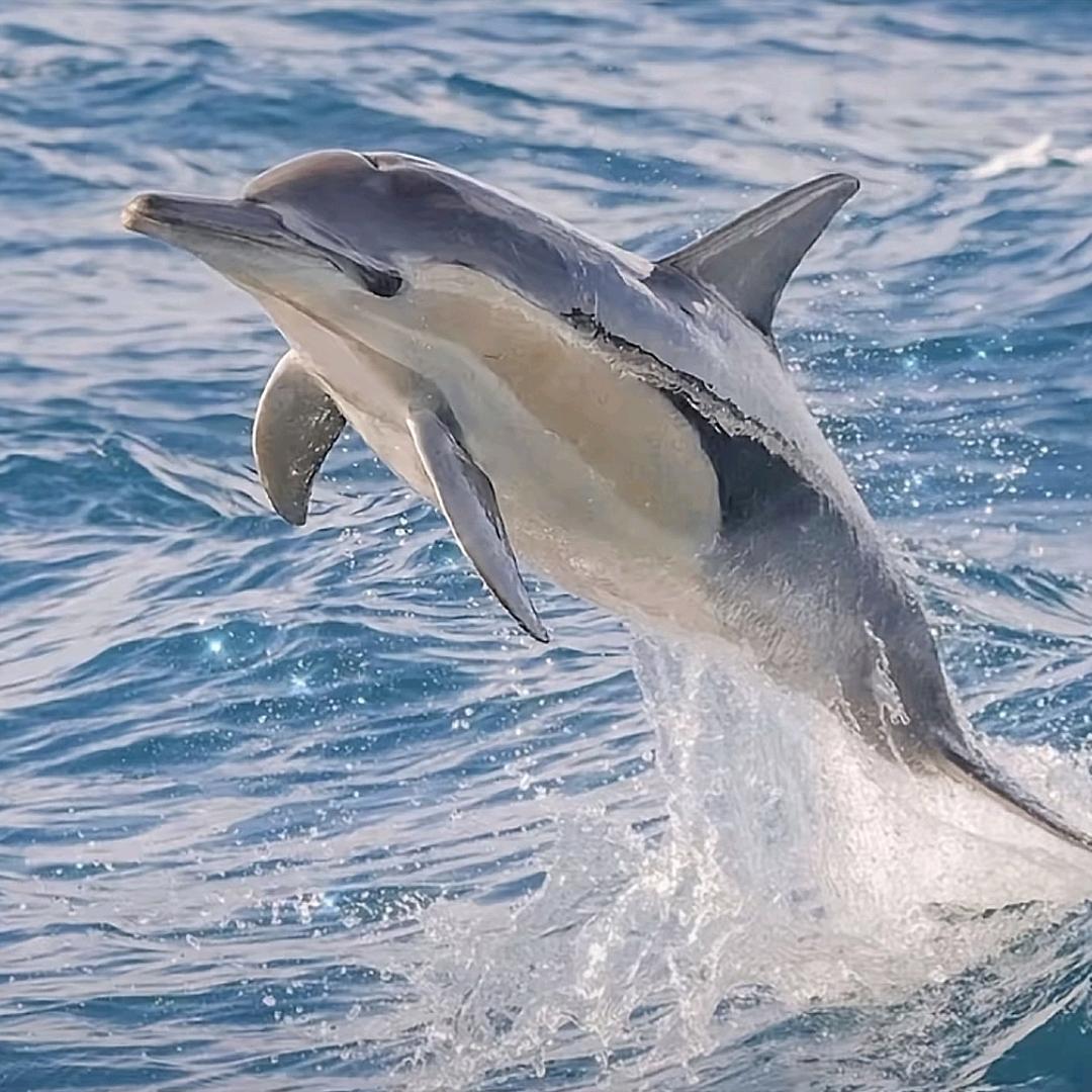 忠厚家电（嘉嘉hsj87614）