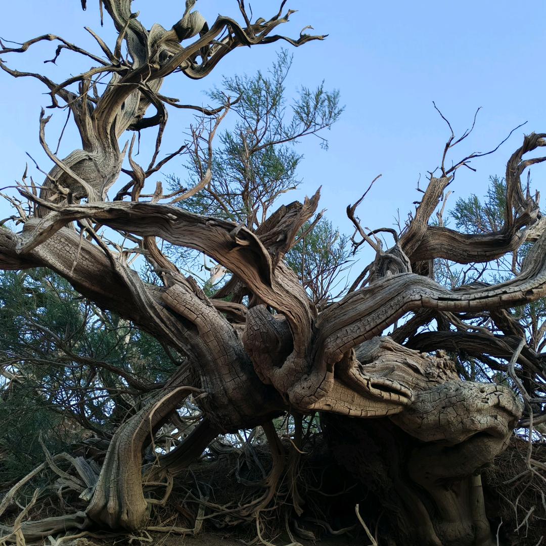 🌈奶瓶夺走了初吻💕