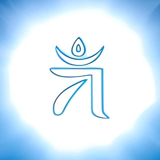 闪烁的合欢
